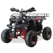 Motax ATV Grizlik. ��������, ��� ���\���, ��� ������� ����