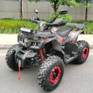 Motax ATV Grizlik T200. ��������, ��� ���\���, ��� ������� ����