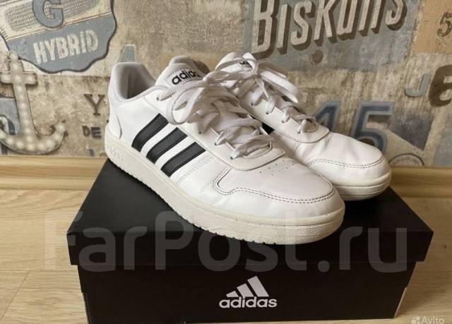 Adidas hoops hot sale 2.0 low