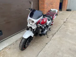 Honda CB 1300. 1 300����. ��., ��������, ���������, ��� ������� ����