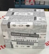 ������ ��������� Nissan 12033-8J100 120338J100 ����