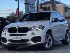 BMW X5. �������, 4wd, 3.0, ������, 41 000����. ��, �/�. ��� ����� �� ������������ ����