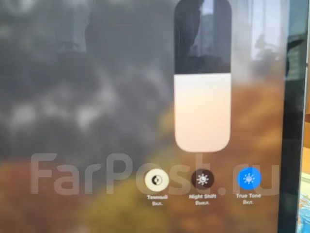 Apple iPad Pro. 12.9 ������, ������ 256 �� ����