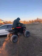 KTM. ��������, ��� ���\���, � �������� ����