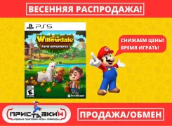 ����. ����