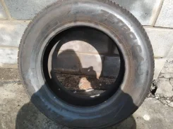 Zetro. ������, 2017 ���, �/�, ����� �� 5 % ����