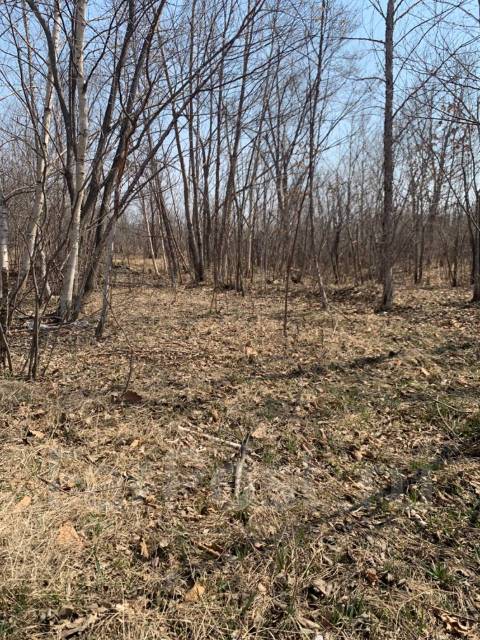 Продам перспективный земельный участок, 1 000 кв. м. собственность ...