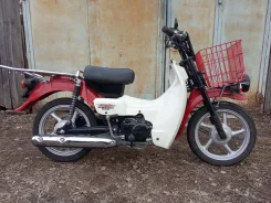 Suzuki Birdie. 50����. ��., ��������, ��� ���, ��� ������� ����