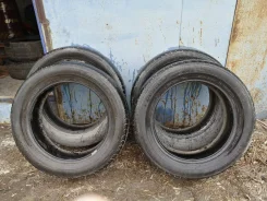 Dunlop SP 30. ������, �/�, ����� 50 %. �������� ������� ����