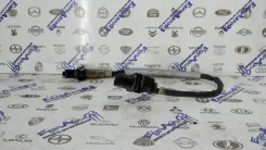 ������ �����������/Lambdasonde Audi A6 [C6,4F] 2004-2011 1K0998262AA 1K0998262AA ����