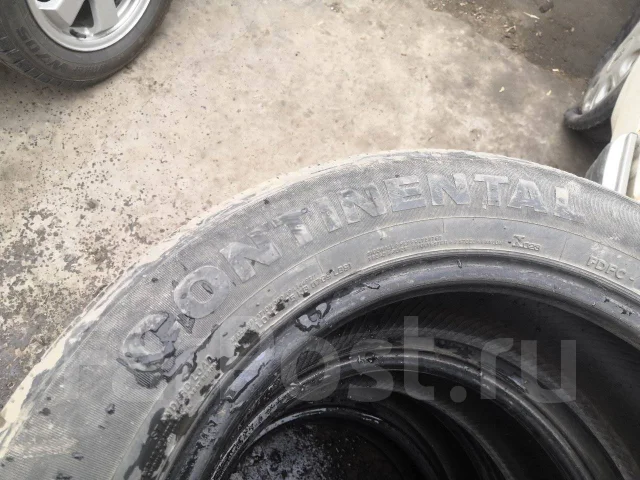 Continental Contact. ������, 2010 ���, �/�, ����� 60 % ����
