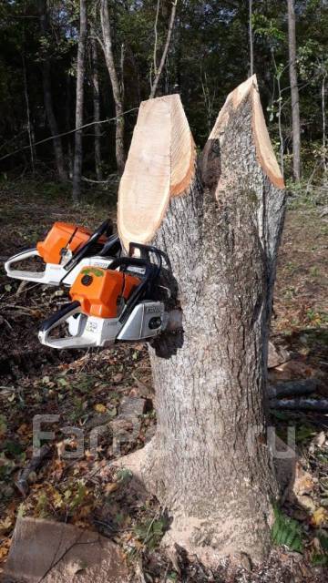 Спил, пилка деревьев, валка леса, раскорчуем и вывезем пни в Артеме