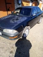 Toyota Camry. �������, ��������, 1.8 (125��.�.), ������, 243 137����. �� ����