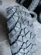 TyRex. �����������, �/�, ����� 5 % ����