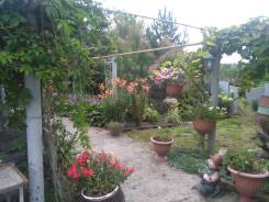       .   .  , ., . , -  ,   61,7...