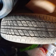 Dunlop SP 20. ������, �/�, ����� 10 % ����