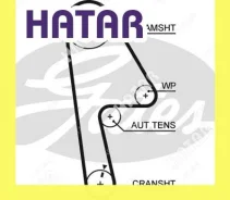������ ��� Gates 5593XS 5593XS ����