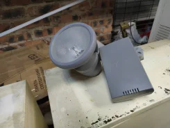 ����������� ��������. ����