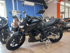 Regulmoto Alien Monster 300. 300����. ��., ��������, ���������, ��� ������� ����