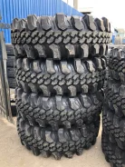 CST CL18. ����� mt, 2023 ���, ����� ����