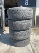 Cooper Zeon XST-A. ������, 2005 ���, �/�, ����� 50 % ����