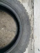 Nordman 5. ������, 2019 ���, �/�, ����� 40 % ����