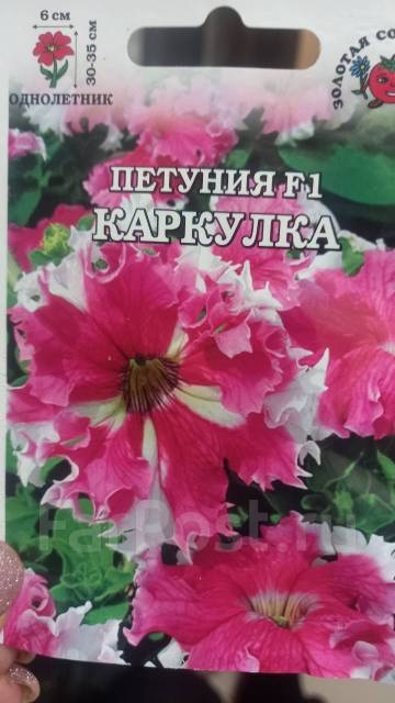 Рассада петунии гибридной, новый, в наличии. Цена: 50₽ в Артеме