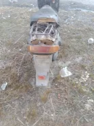Suzuki Address V50 ����