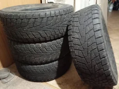 Bridgestone Winter Dueler DM-Z2. ������, �/�, ����� 50 % ����