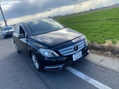 Mercedes-Benz B-Class. WDD2462422J098771, 270910 ����