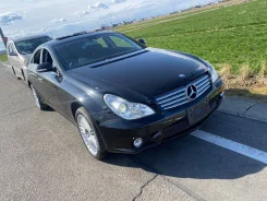 Mercedes-Benz CLS-Class. WDD2193752A020136, 113967 ����