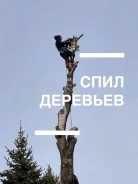 ���� ������� ������, �����, �������, �������, �����, �����, ��������� ����