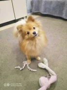 ����. ����