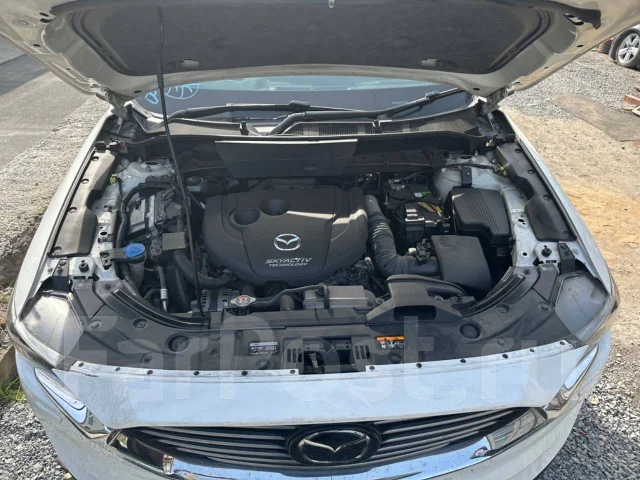 Mazda CX-8. KG2P, SH ����
