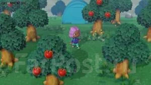 Nintendo eShop. ����