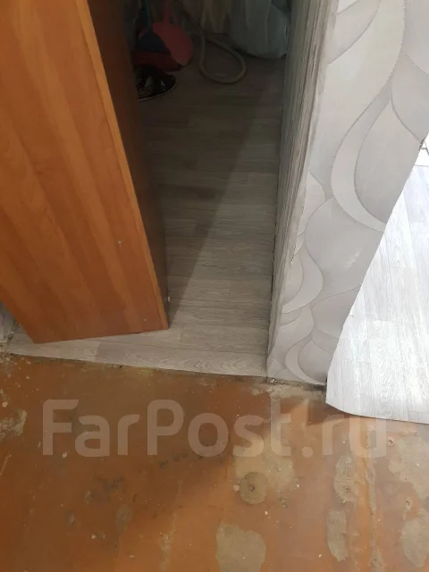 ������� ��������. ����