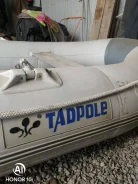 Tadpole. ��������� ���������, ������ ����