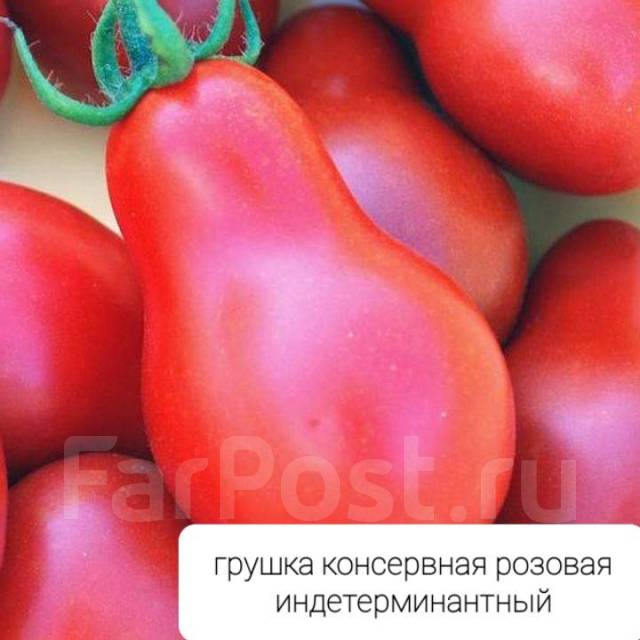 Рассада помидор для теплиц, новый, в наличии. Цена: 50₽ в Артеме