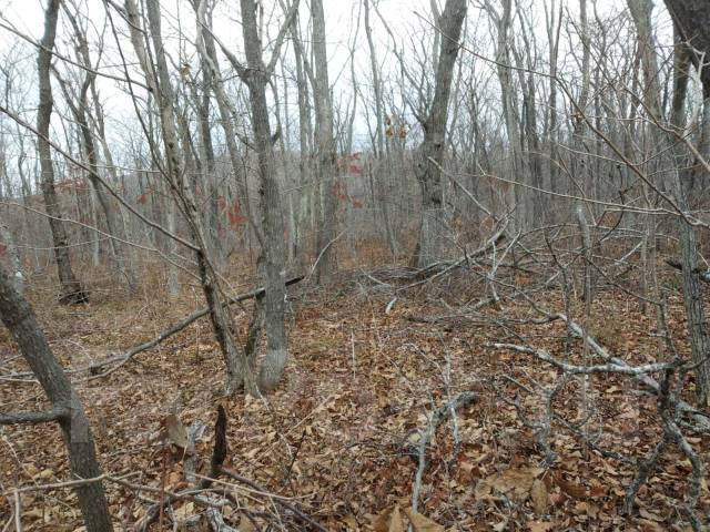 Продам земельный участок 2000 кв. м. остров Попова, 2 000 кв. м ...