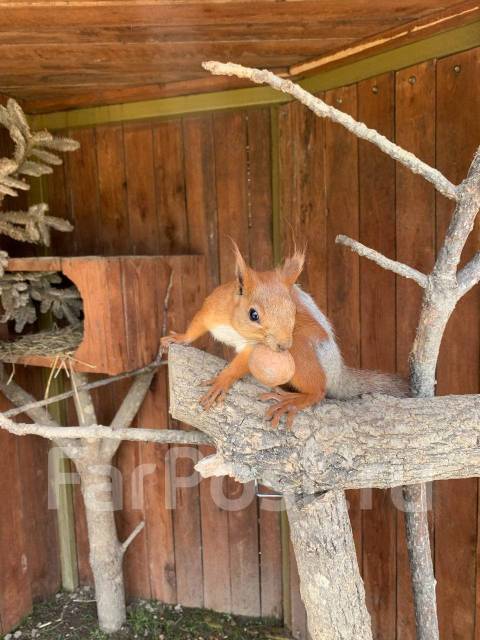 �������, ������� �� ����� �� ���������-����������-�������, ������� �� ����� �� ���������. �� ������� �.�. ������������ �����, ������������ �����, ���...