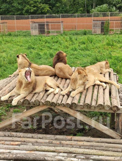 �������, ������� �� ����� �� ���������-����������-�������, ������� �� ����� �� ���������. �� ������� �.�. ������������ �����, ������������ �����, ���...