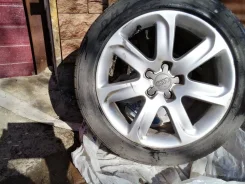 Delinte. ������, 2022 ���, �/�, ����� �� 5 % ����