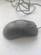 ���� �������. ����