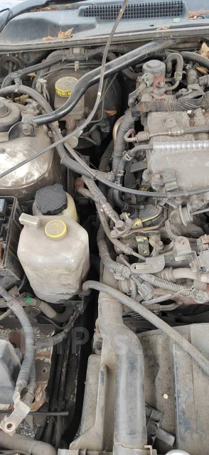 Nissan Cedric. MY34304028, VQ25DD ����