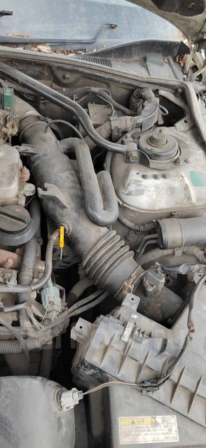 Nissan Cedric. MY34304028, VQ25DD ����