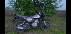 Bajaj Boxer BM 125 X. 124����. ��., ��������, ���, � �������� ����