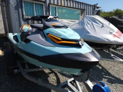 BRP Sea-Doo Wake. 2022 ��� ����