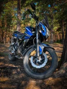Bajaj Pulsar NS 200. 200����. ��., ��������, ���, � �������� ����