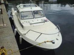 Yamaha Fish 24. 1989 ���, ����� 7,25��., ��������� ���������, 140��.�., ������ ����