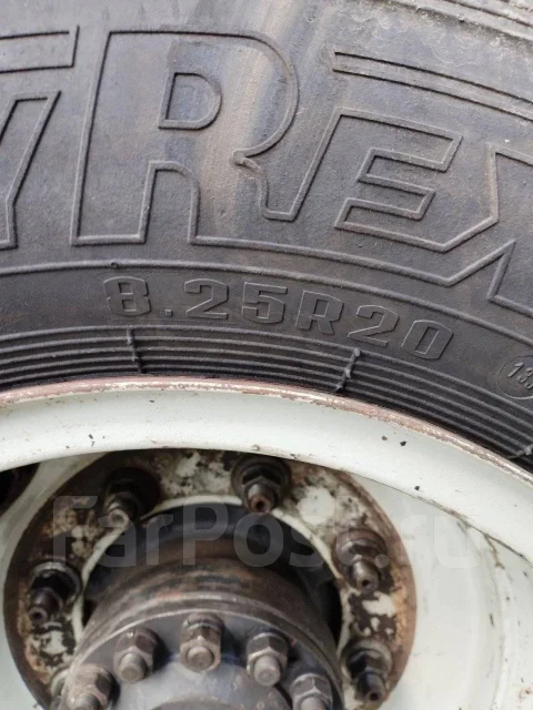 TyRex. �����������, 2022 ���, ����� ����
